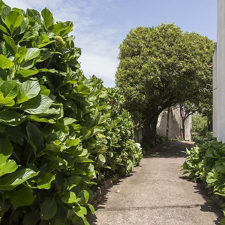 Casa Do Maranhao - Nature & Views Experience Capelas Exterior foto